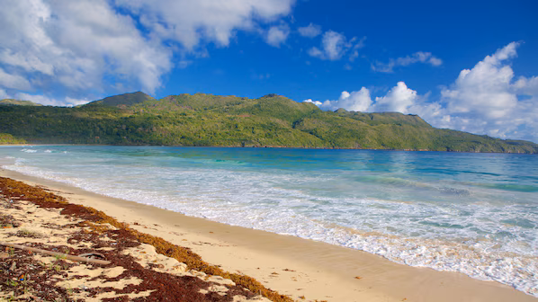Rincon Beach near Secrets Playa Esmeralda Resort & Spa with expansive shoreline and turquoise Caribbean waters